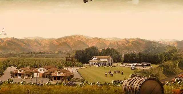 智利最好的红酒庄园,智利比较好的葡萄酒