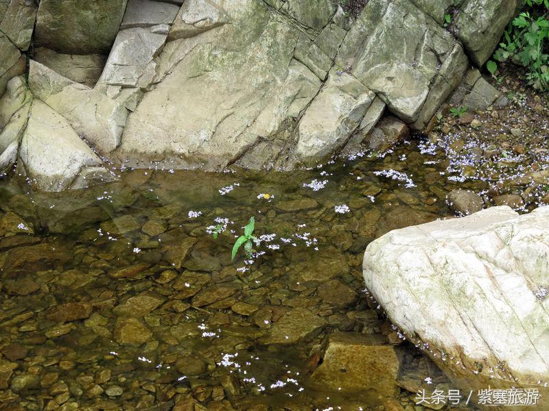 蓟县金马石农家院三日游最佳路线,天津蓟县梨木台风景最好的农家院