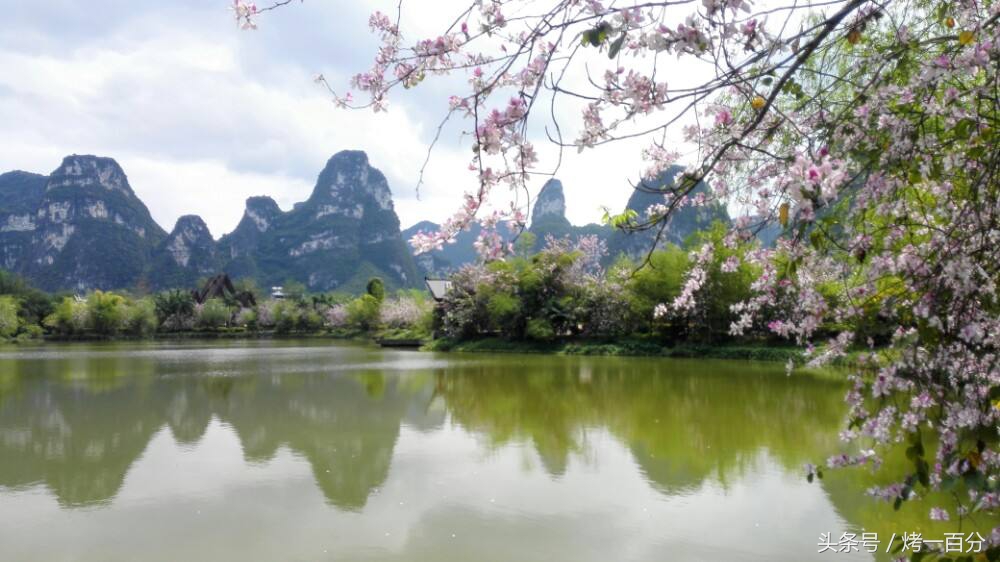 广西崇左旅游景区有哪些,崇左这几天免费旅游景区