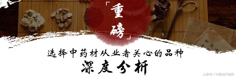 黄连市场行情报告 (全国黄连市场总需求量)