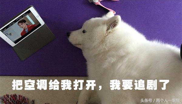 萨摩癌症,萨摩肿瘤