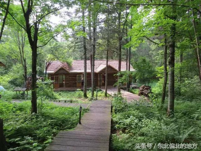 夏季黑龙江最美景区,黑龙江避暑最佳城市