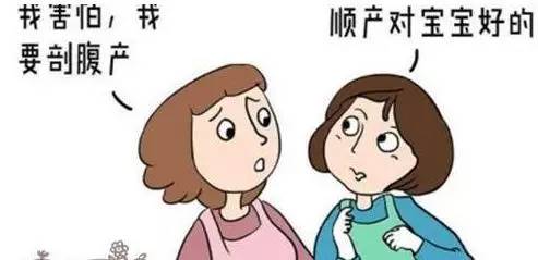 剖腹产宝宝补益生菌,剖腹产后出现大肠杆菌是怎么回事