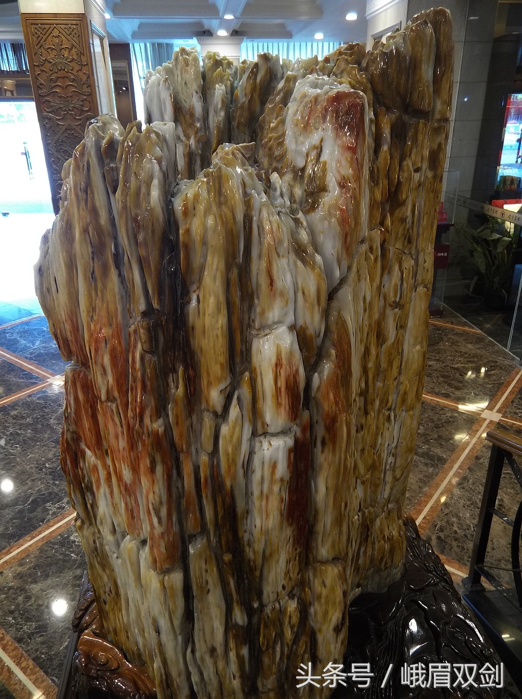 树化石收藏价值高吗,玉化树化石