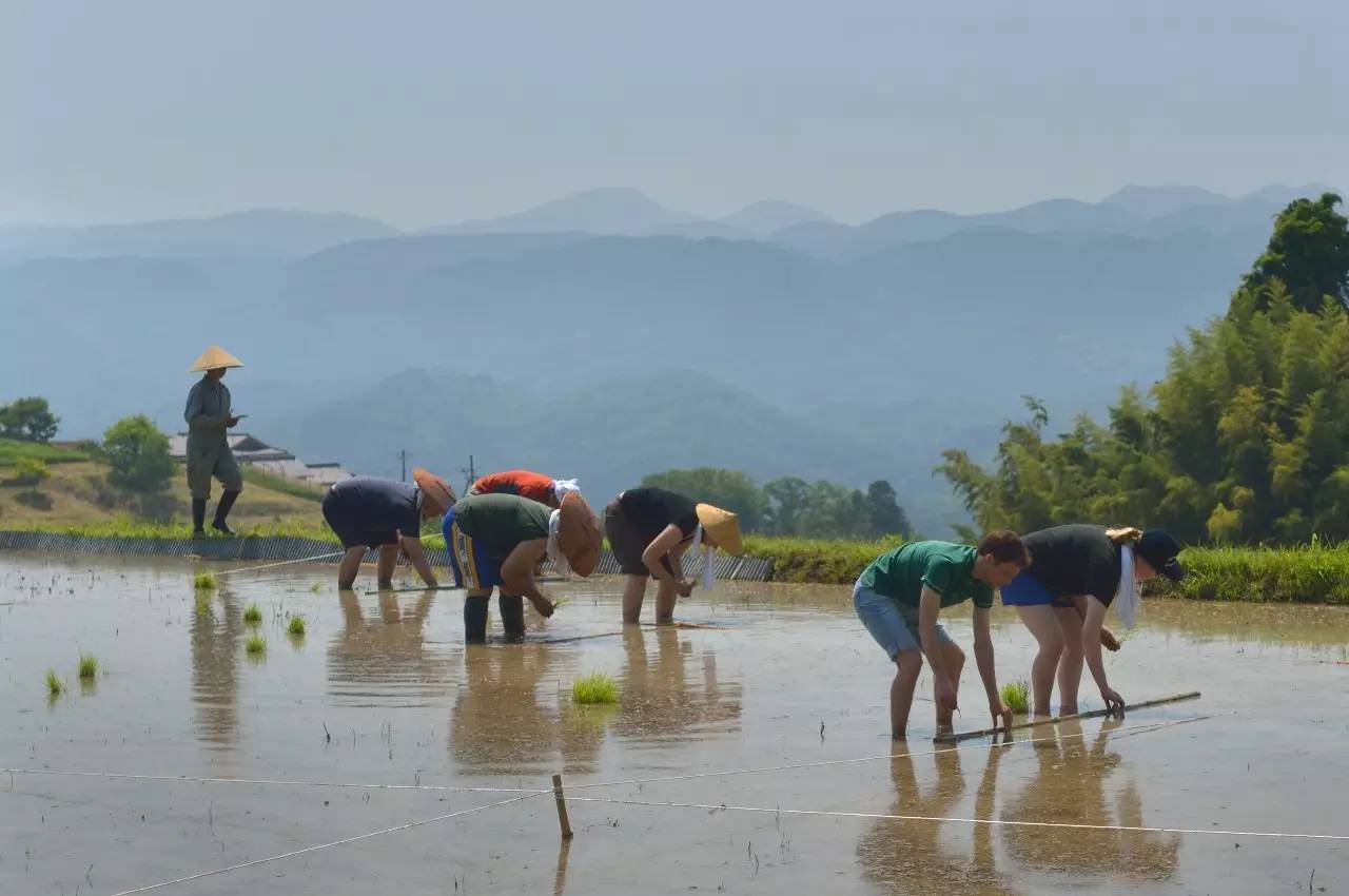 SASAYURI让你从此爱上（日本的田舍）