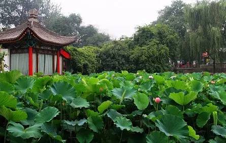 西安最有名旅游景点排名,西安十大值得去的景点排名