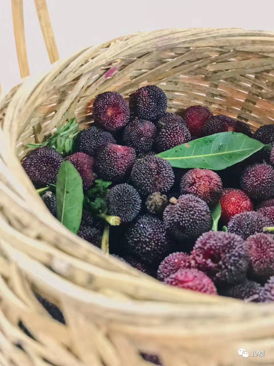 水煮｜一双塑料凉鞋4000块，洗澡筐4300……信阳的小伙伴不要惊讶，这些时尚大牌你都拥有过！