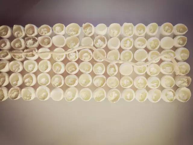 品牌花店是如何运营,复合式花店培训