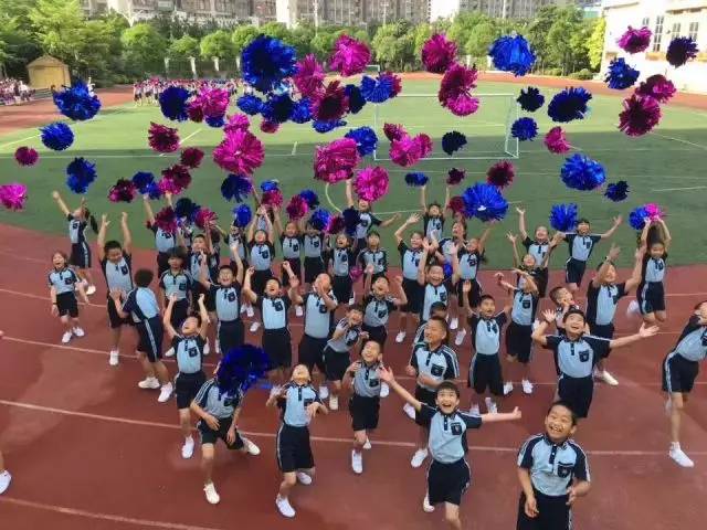 青秀区中小学招生地段划分,南宁青秀区初中招生简章