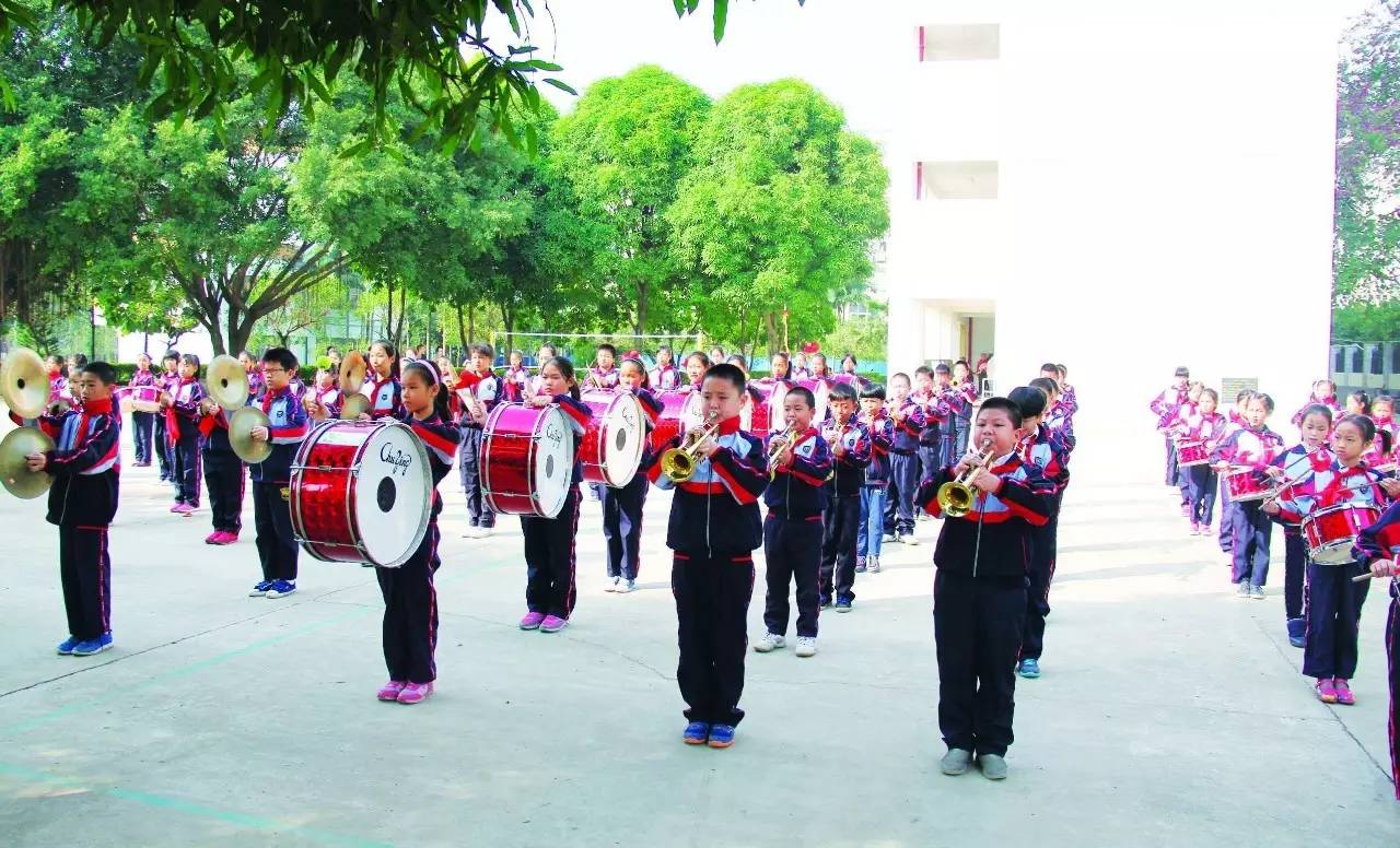 青秀区中小学招生地段划分,南宁青秀区初中招生简章