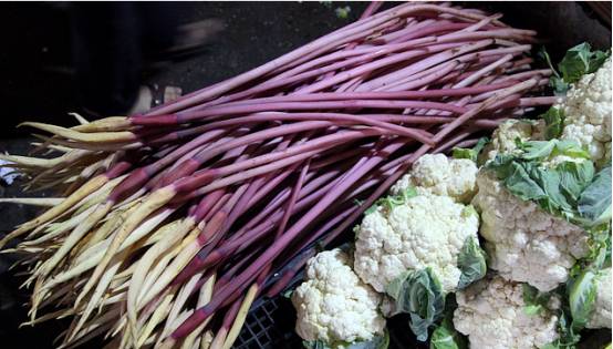 云南春天可以吃的各种花,云南春天有哪些花可以食用