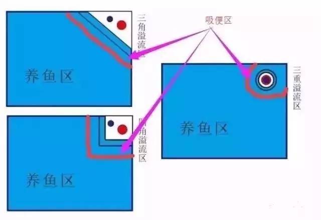 怎么增强鱼缸吸便能力,鱼缸鱼便吸不干净