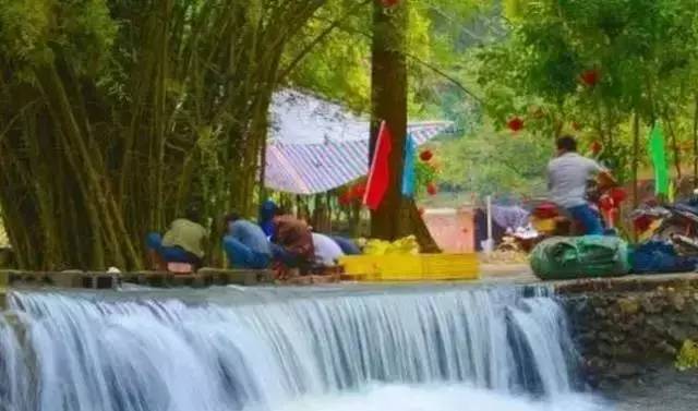 居然有人给芒果这种生物开世界大会，逼格升级，田东又要火上天啊！