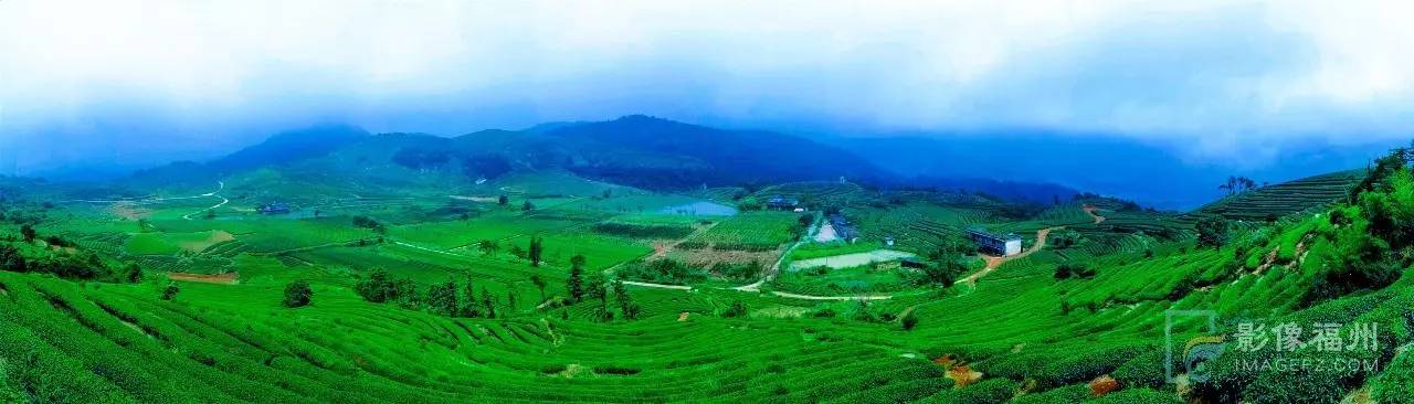 游茶山,游茶山竹海