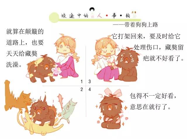 神农本草藏红花,中华本草藏红花