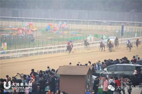武汉赛马比赛时间表,2017全国速度赛马公开赛直播