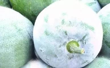 明明盛产于夏秋，为啥叫冬瓜？