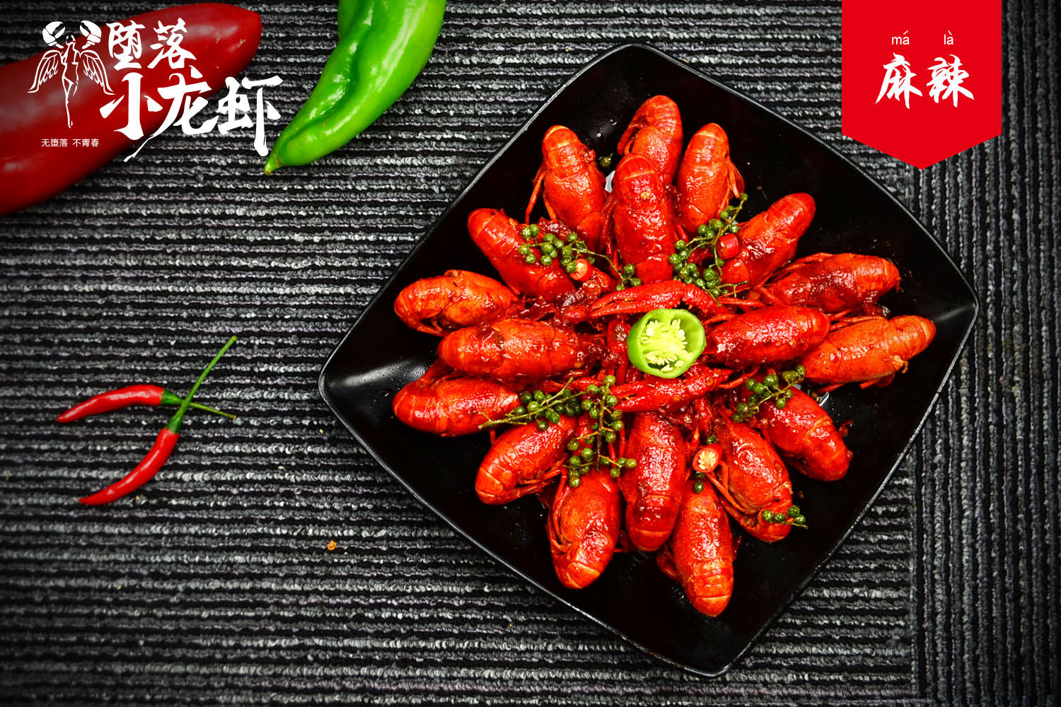 清华虾哥致定西学弟：职业无贵贱、学成来做虾