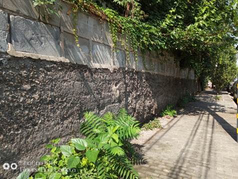 金立s10真的有四摄吗,金立s10四摄的好处