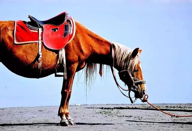 10个适合情侣的目的地，每一个都值得跟他好好走一走