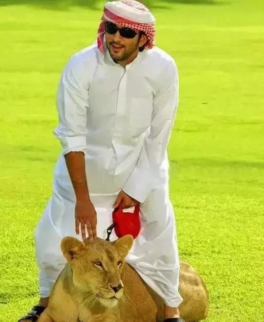 沙特最帅王子哈曼丹,阿联酋王子哈曼丹照片