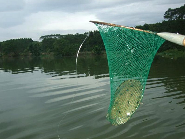 捕鱼技巧矿泉水瓶,爸爸捕鱼记