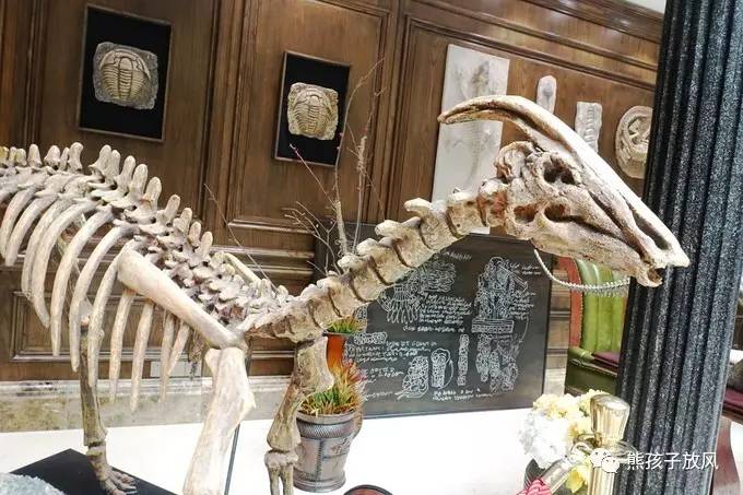 常州恐龙园住宿加门票攻略带孩子,带娃常州中华恐龙园