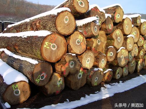 这些食物虽然苦涩，却能培养出优质的红酒