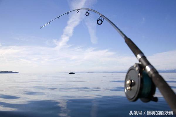 钓大物最好的钓鱼竿品牌排行,钓鱼竿十大品牌有哪几种