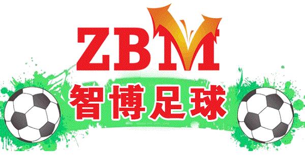 智博竞彩比赛视频,智博夏季联赛