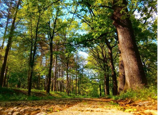 马鞍山有多好,马鞍山到底有多牛