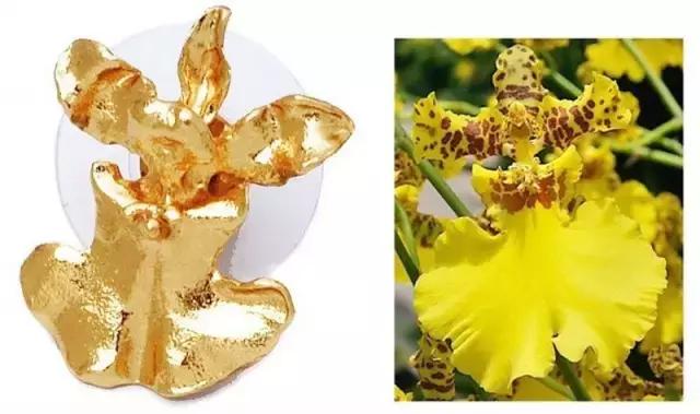 新加坡樟宜机场必买清单,新加坡樟宜机场必买伴手礼