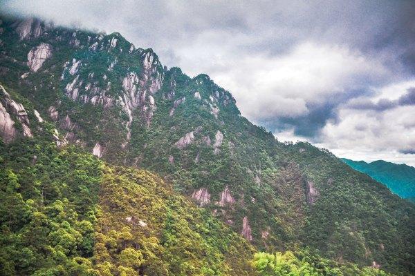 黄山四绝之一奇松介绍,黄山的四绝分别是奇松怪石