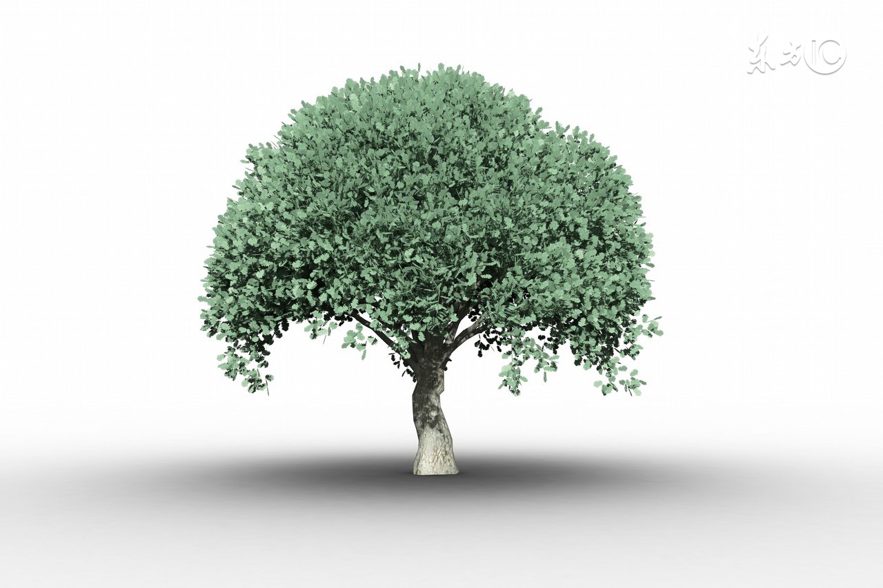 杨保志广州,杨保志