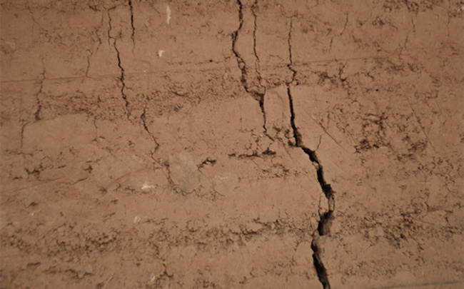 酒鬼酒官方旗舰店,酒鬼外甥的全部视频