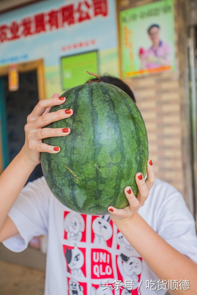 高明可以摘水果的农庄,高明60亩农庄