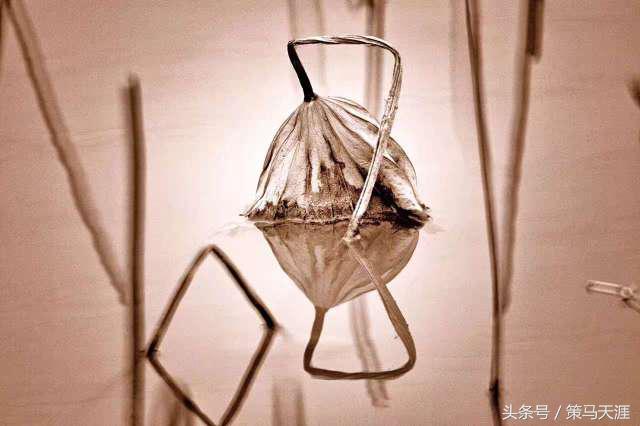 君子如荷出淤泥而不染图片,荷出淤泥而不染的隶书