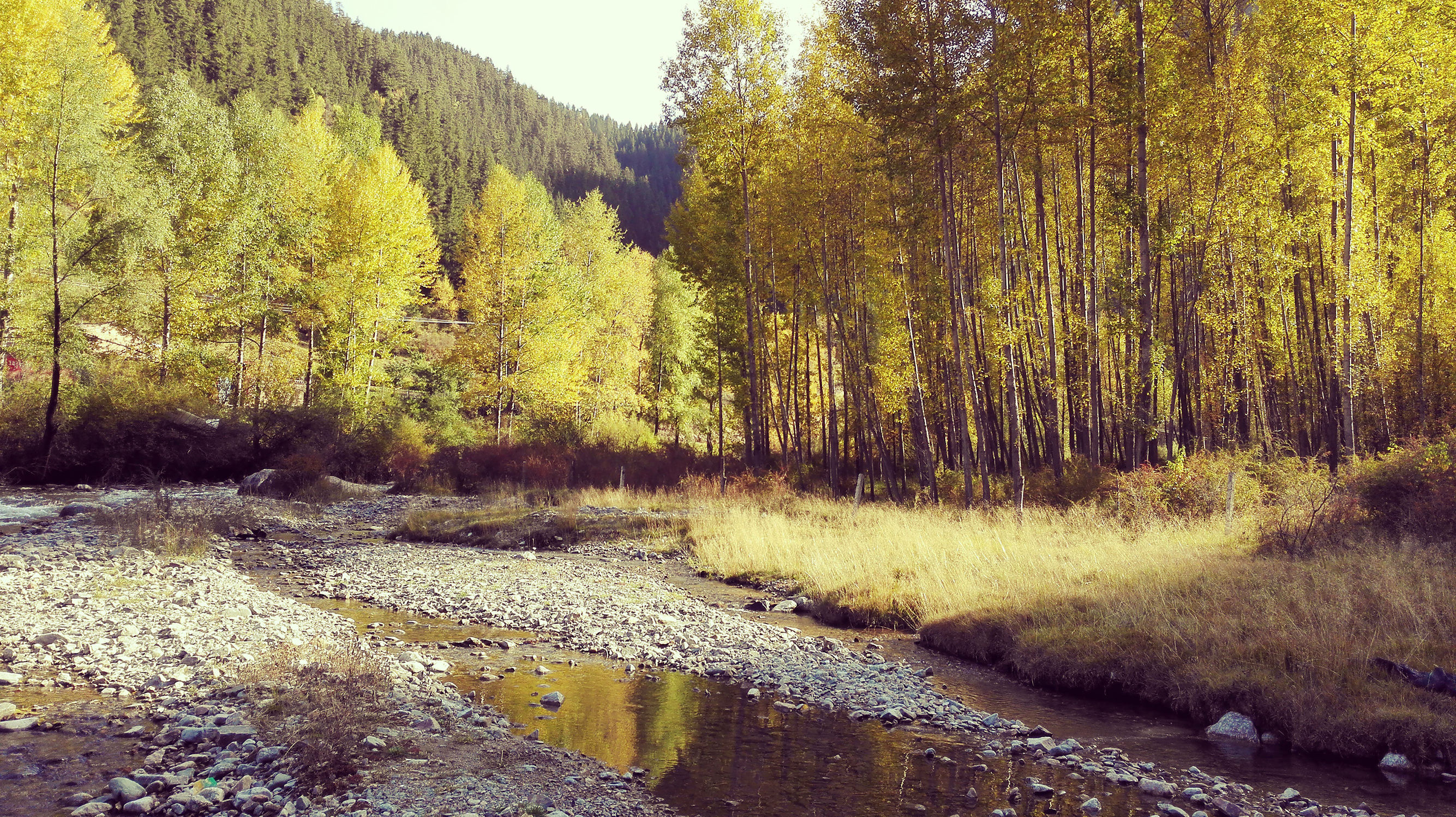 青海游记探秘神秘的青藏高原之旅,青藏高原旅行大全
