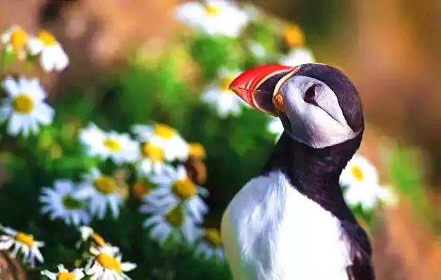 出门旅游如何看日出日落,一个人去看日落是怎样的体验