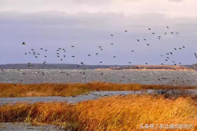 夏季黑龙江最美景区,黑龙江避暑最佳城市