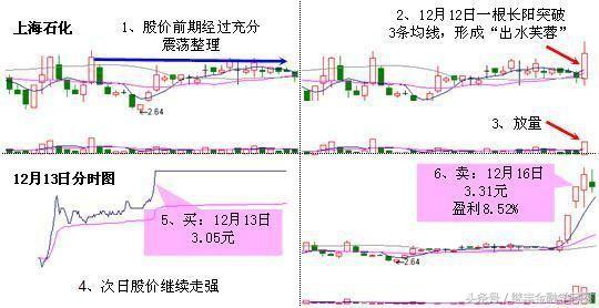 老股民肺腑之言,老股民的感言