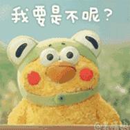 杨幂高圆圆周冬雨,杨幂高圆圆时装