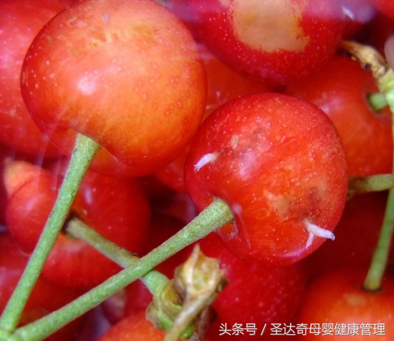 樱桃里面到底有什么,樱桃里面都有什么