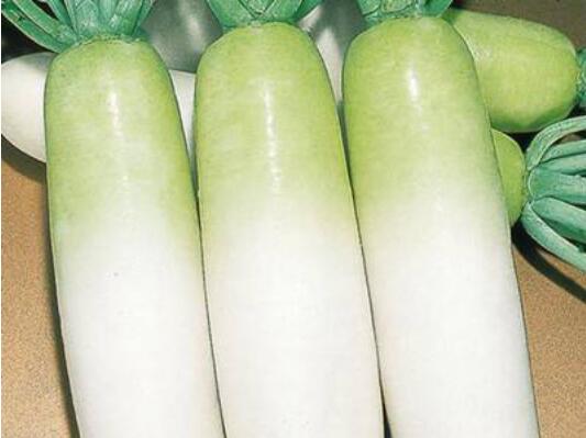 如何快速治好风寒感冒,快速治愈风寒感冒