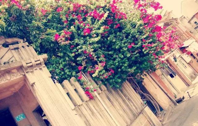 10个适合情侣的目的地，每一个都值得跟他好好走一走