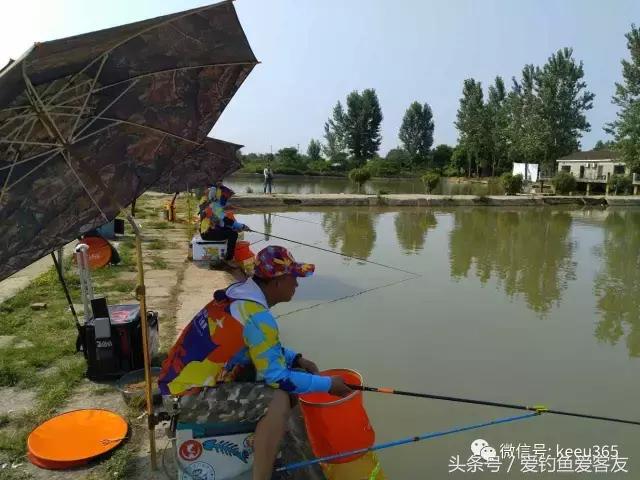 擒大鱼视频完整版,抓获大鱼的视频