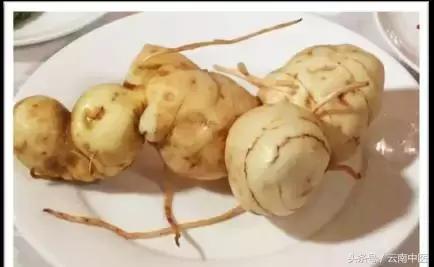 怎样吃制黄精又不滋腻,怎么吃黄精降火