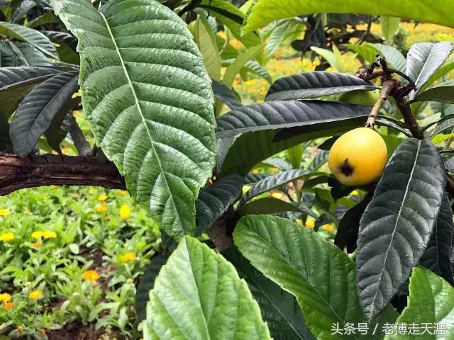 梁平适合夏天耍水凉快的地方,重庆梁平竹海旅游攻略