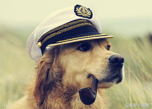 养着宠物还抽烟,你是拿它们的小命儿来燃烧!