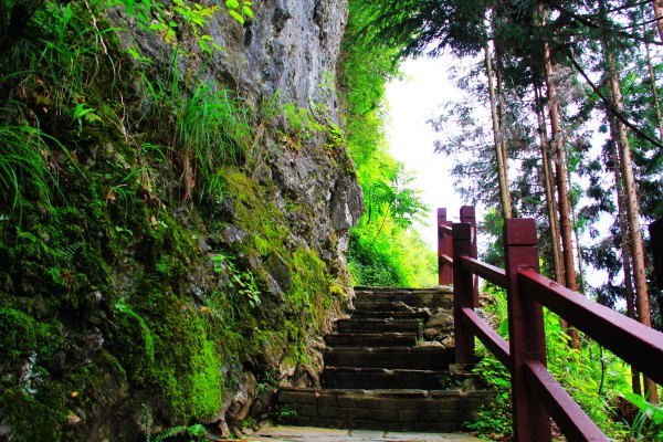 玉龙洞，那根一亿元的“定海神针”咋样了？